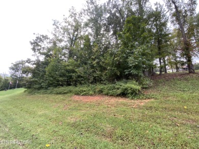 Lake Lot For Sale in Rockwood, Tennessee