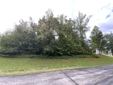 Beautiful view --building lot! Bring your plans! Welcome to - photo 2