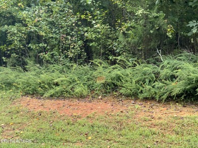 Beautiful view --building lot! Bring your plans! Welcome to - photo 3