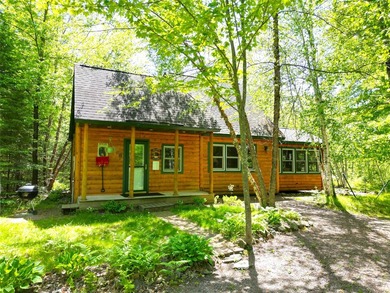 Northwoods Haven on close to 300 feet of Thornapple River - photo 19