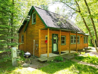 Northwoods Haven on close to 300 feet of Thornapple River - photo 20