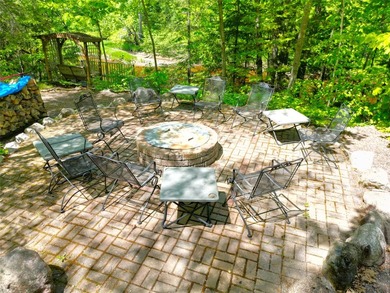Northwoods Haven on close to 300 feet of Thornapple River - photo 21