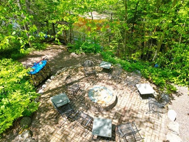 Northwoods Haven on close to 300 feet of Thornapple River - photo 22