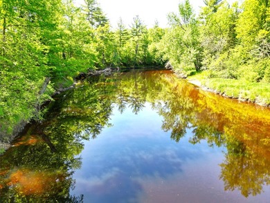 Northwoods Haven on close to 300 feet of Thornapple River - photo 23