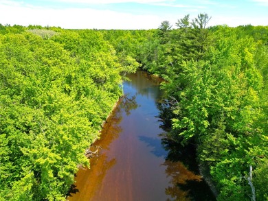 Northwoods Haven on close to 300 feet of Thornapple River - photo 24