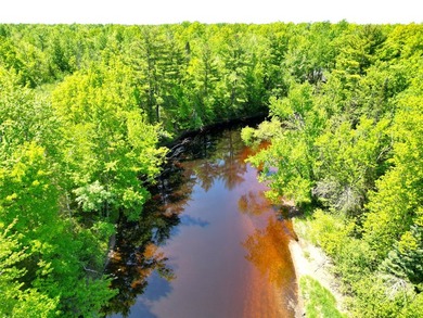 Northwoods Haven on close to 300 feet of Thornapple River - photo 25