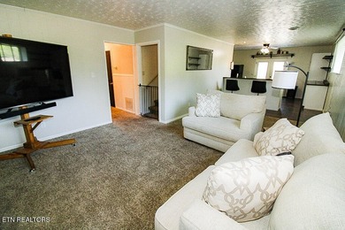 4BR 3 Full baths. 2 full kitchens! Perfect for large family or - photo 26