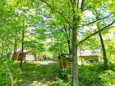 Northwoods Haven on close to 300 feet of Thornapple River - photo 26