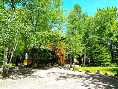 Northwoods Haven on close to 300 feet of Thornapple River - photo 27