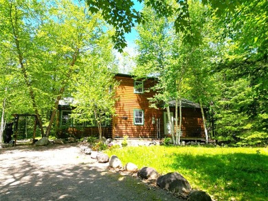 Northwoods Haven on close to 300 feet of Thornapple River - photo 28