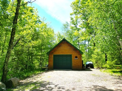 Northwoods Haven on close to 300 feet of Thornapple River - photo 29