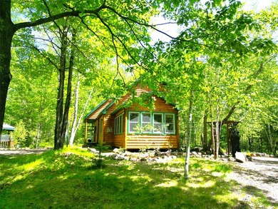 Northwoods Haven on close to 300 feet of Thornapple River - photo 30