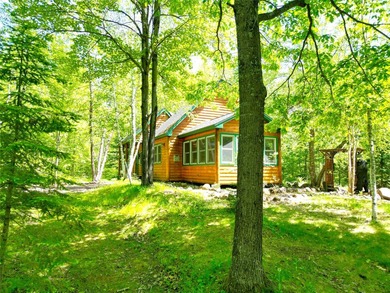Northwoods Haven on close to 300 feet of Thornapple River - photo 31