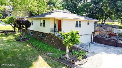 4BR 3 Full baths. 2 full kitchens! Perfect for large family or - photo 37