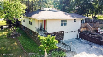 4BR 3 Full baths. 2 full kitchens! Perfect for large family or - photo 38