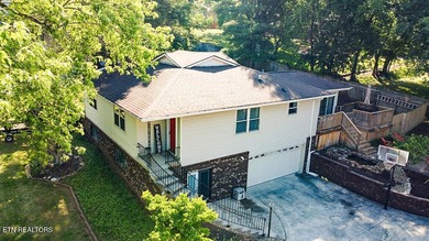 4BR 3 Full baths. 2 full kitchens! Perfect for large family or - photo 39