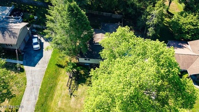 4BR 3 Full baths. 2 full kitchens! Perfect for large family or - photo 40