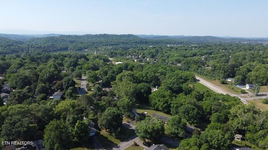 4BR 3 Full baths. 2 full kitchens! Perfect for large family or - photo 42