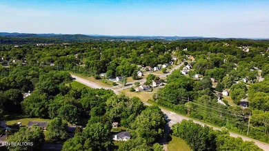 4BR 3 Full baths. 2 full kitchens! Perfect for large family or - photo 43