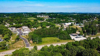 4BR 3 Full baths. 2 full kitchens! Perfect for large family or - photo 44
