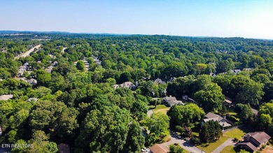 4BR 3 Full baths. 2 full kitchens! Perfect for large family or - photo 45