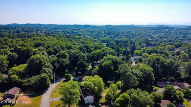 4BR 3 Full baths. 2 full kitchens! Perfect for large family or - photo 46