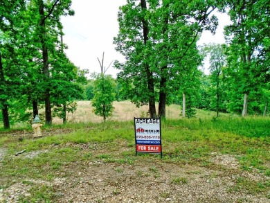 Lake Barkley Acreage For Sale in Grand Rivers Kentucky