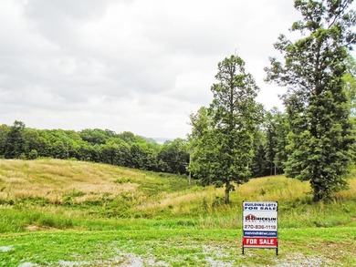 Lake Barkley Lot For Sale in Grand Rivers Kentucky