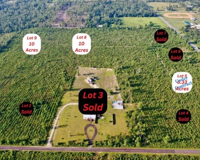 Dead Lake Acreage For Sale in Wewahitchka Florida