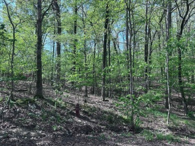 Lake Lot For Sale in Hot Springs Village, Arkansas