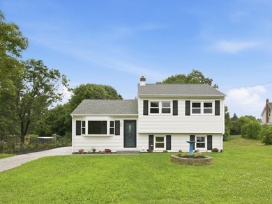 Beautifully Renovated 3BR/2BA Tri-Level Home with Exceptional - photo 1