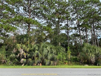 Build your home OR home and a business! So many opportunities - photo 1