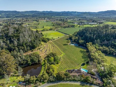 Located on the cooler western slope of Napa Valley, this - photo 2