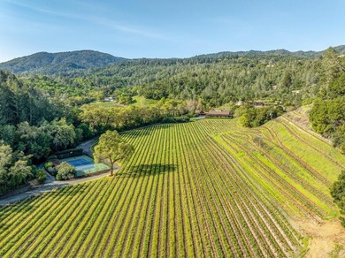 Located on the cooler western slope of Napa Valley, this - photo 3