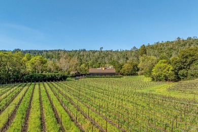 Located on the cooler western slope of Napa Valley, this - photo 4