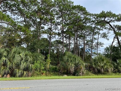 Build your home OR home and a business! So many opportunities - photo 4