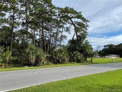 Build your home OR home and a business! So many opportunities - photo 6
