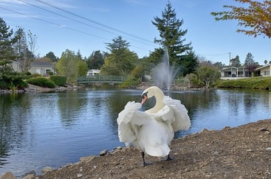 $30,000 price improvement! Don't miss out on this lovely Spring - photo 23