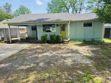 Lake Home For Sale in Mayflower, Arkansas