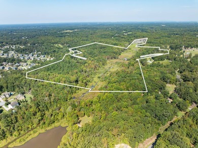 Lake Acreage For Sale in Fountain Inn, South Carolina