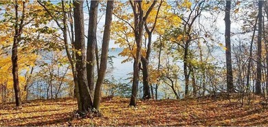 Leech Lake Lot For Sale in Cass Lake Minnesota