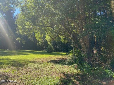 Lake Acreage For Sale in Deland, Florida