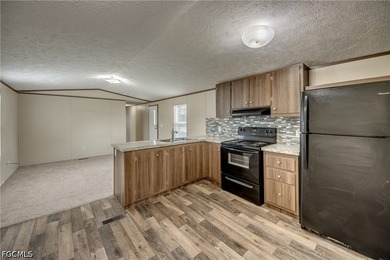 2019 built Manufactured home in Palmona Park, with NO HOA FEES! - photo 14