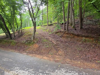 Lake Lot For Sale in Ellijay, Georgia