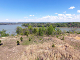 One of the last of the best lots in Allen's Landing left. This SO - Lake Lot SOLD! in Somerset, Kentucky
