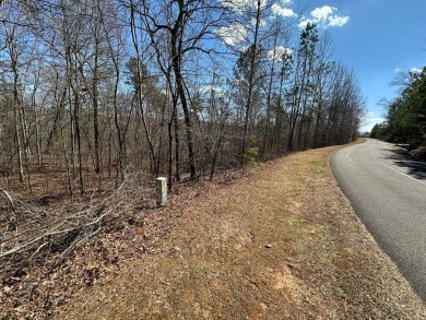 Lake Lot For Sale in Ellijay, Georgia
