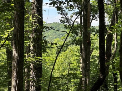Lake Acreage For Sale in Ellijay, Georgia