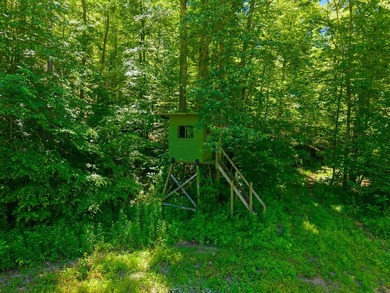 Welcome to a once-in-a-lifetime opportunity in the heart of - photo 8