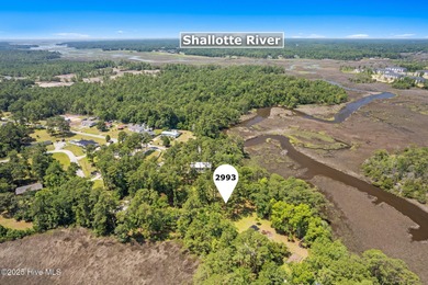 (private lake, pond, coastal) Lot For Sale in Shallotte North Carolina