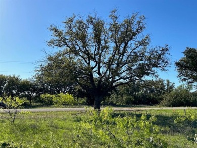 Lake Lot For Sale in Brownwood, Texas